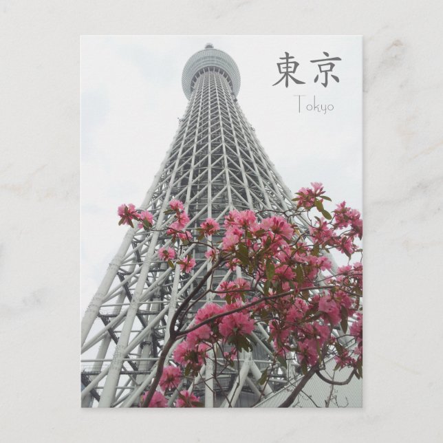 Tokyo Skytree Dream Factory Postcard (Front)