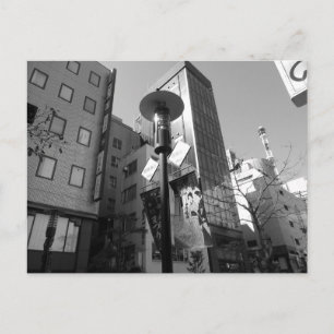 Tokyo Streetlights: Hana-tsubaki Street, Ginza Postcard
