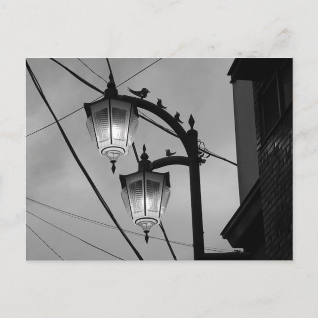 Tokyo Streetlights: Ohanajaya Postcard (Front)