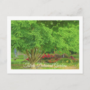 TOLEDO BOTANICAL GARDEN, TOLEDO, OHIO USA POSTCARD