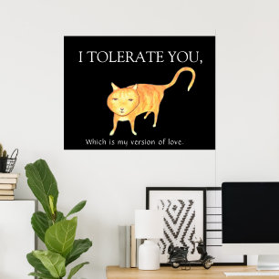 Tolerant Apathetic Orange Cat Poster