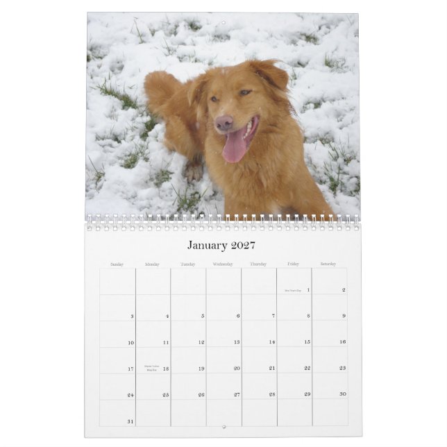 Toller Calendar (Jan 2027)