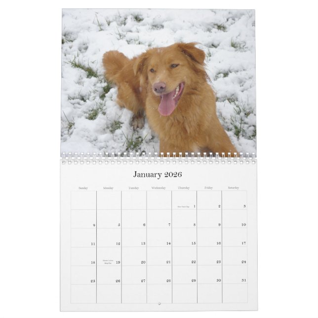 Toller Calendar (Jan 2026)