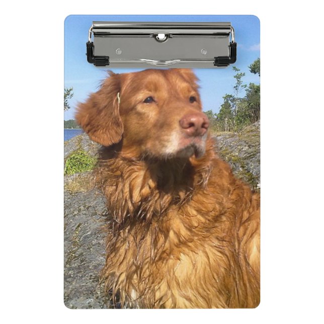 toller wet mini clipboard (Front)