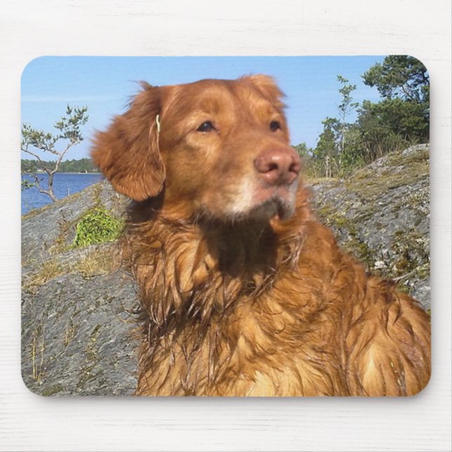 toller wet mouse pad (Front)
