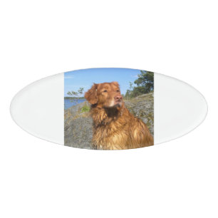 toller wet name tag