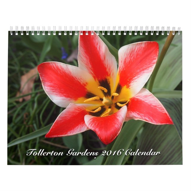 Tollerton fait du jardinage le calendrier 2016 (Protection)