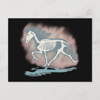Tölter skeleton postcard