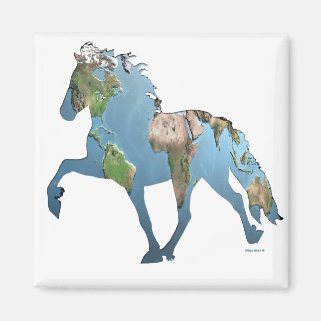 Tolting the World Magnet (Front)