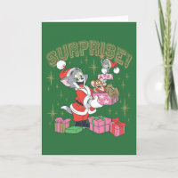 Tom, Jerry, and Nibbles Holiday Surprise
