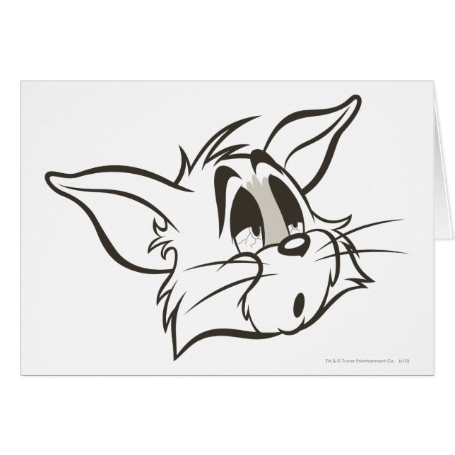 Tom Sleepy Cat (Front Horizontal)