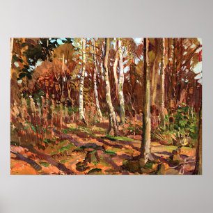 Tom Thomson - View of Algonquin Park Poster