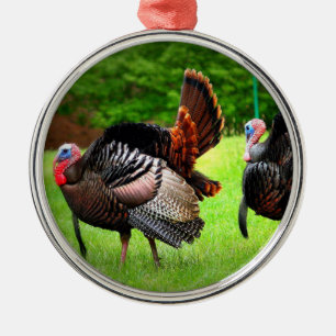 Tom Turkey Christmas Tree Ornament