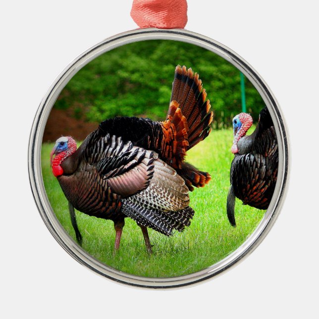 Tom Turkey Christmas Tree Ornament (Front)