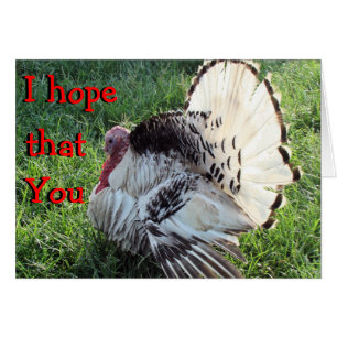 Tom Turkey fanned-customize any occasion