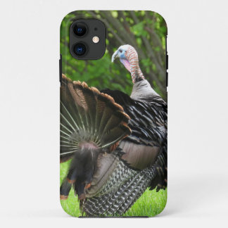 Tom Turkey Feather Display iPhone 11 Case