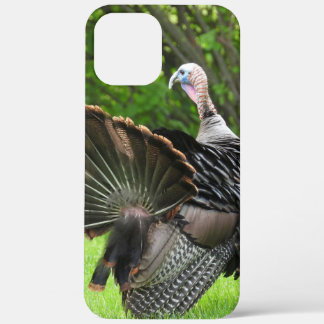Tom Turkey Feather Display iPhone 12 Pro Max Case