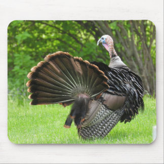 Tom Turkey Feather Display Mouse Pad