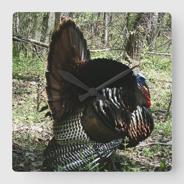 TOM TURKEY FULL STRUT SQUARE  WALL CLOCK (Front)