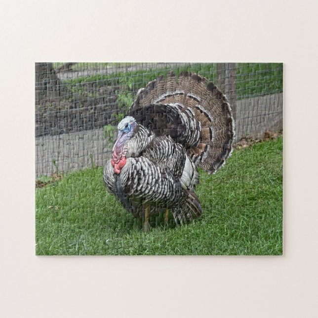 Tom Turkey Jigsaw Puzzle (Horizontal)