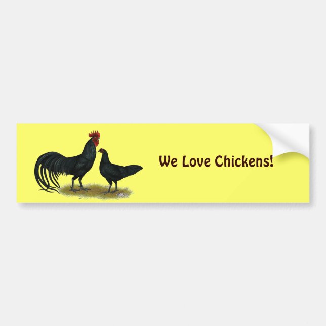 Tomaru Long Crower Chickens Bumper Sticker (Front)