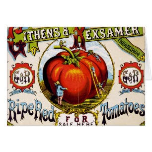 Tomates rouges mûres à vendre - Annonce Vintage