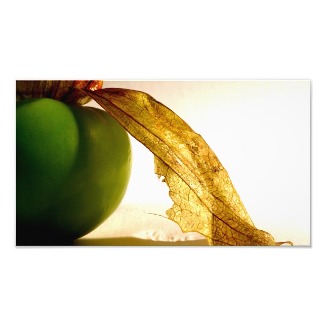 Tomatillo Study Photo Print (Front)