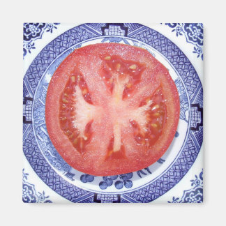 TOMATO AND WILLOW PATTERN PLATE FRIDGE MAGNET