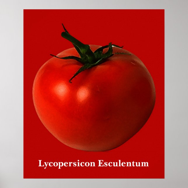 tomato art poster (Front)