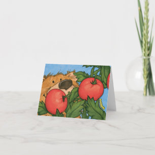 Tomato Bear / Note Card
