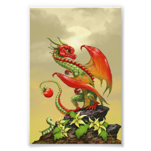 Tomato Dragon 4x6 Print