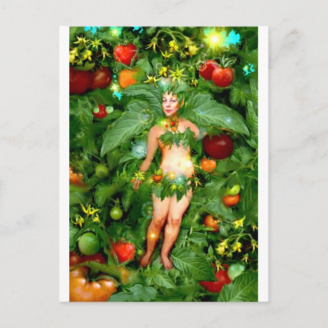 Tomato Fairy Postcard (Front)