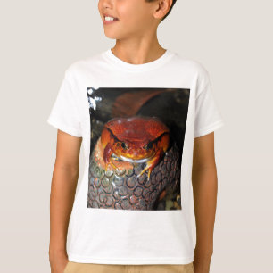 Tomato frog T-Shirt