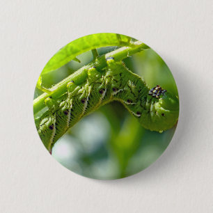Tomato Hornworm 2 Inch Round Button