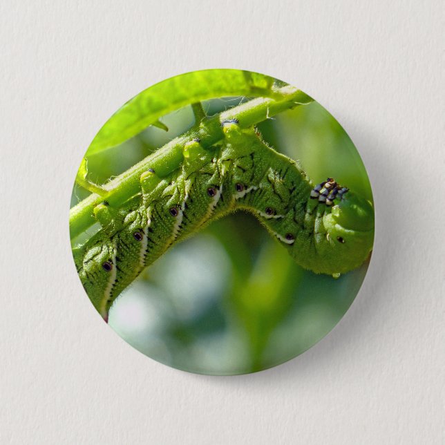 Tomato Hornworm 2 Inch Round Button (Front)