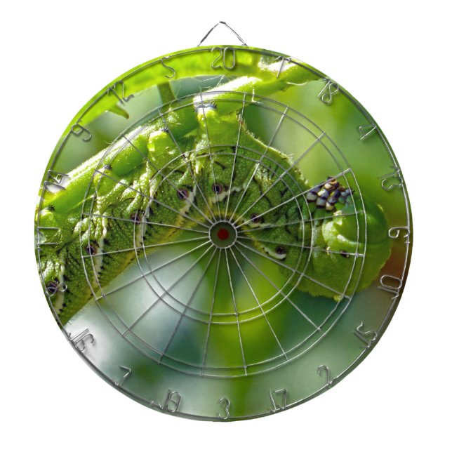 Tomato Hornworm Dartboard (Front)