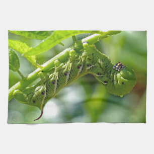 Tomato Hornworm Kitchen Towel
