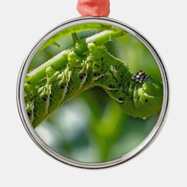 Tomato Hornworm Metal Ornament (Front)