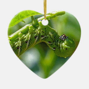 Tomato Hornworm Ornament