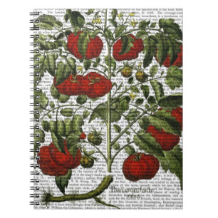 Tomato Plant Notebook