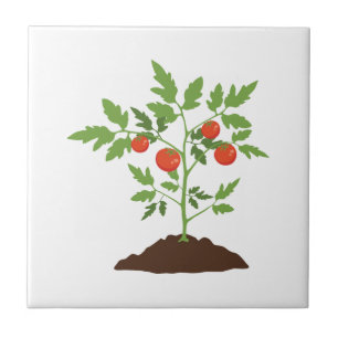 Tomato Plant Tile