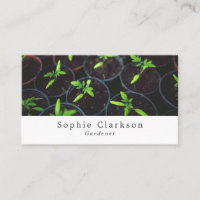 Tomato Plants, Gardening Service, Horticulturist