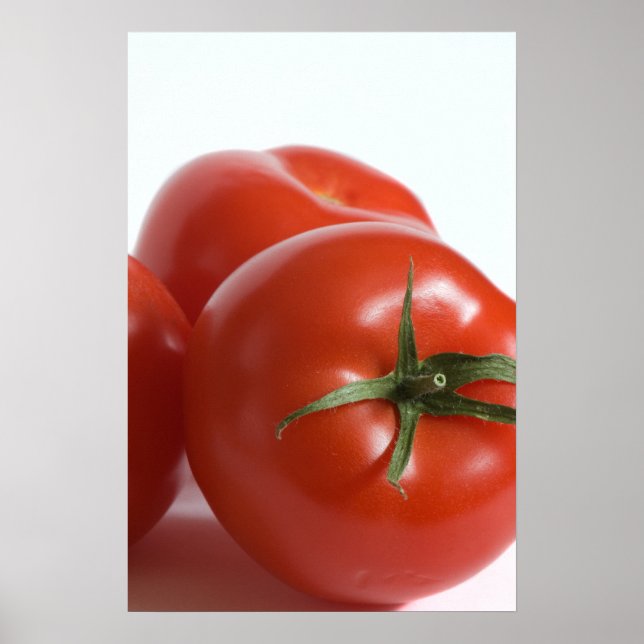 Tomato Poster (Front)