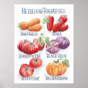 Tomatoes Art Print