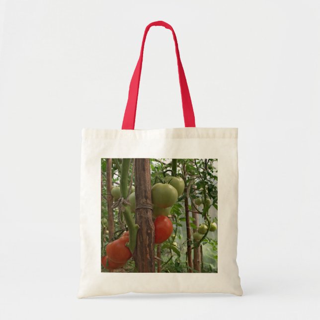 Tomatoes Bag (Front)