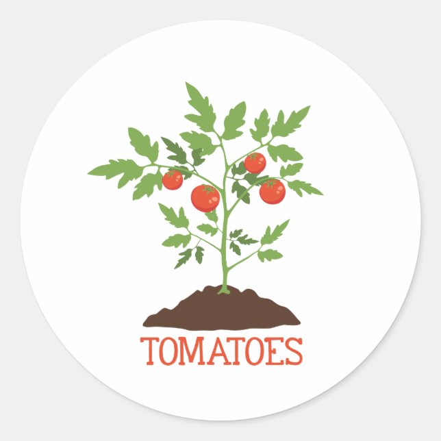Tomatoes Classic Round Sticker (Front)