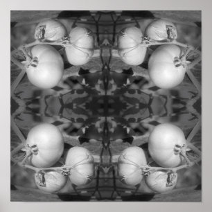 Tomatoes In Black And White Abstract  Poster