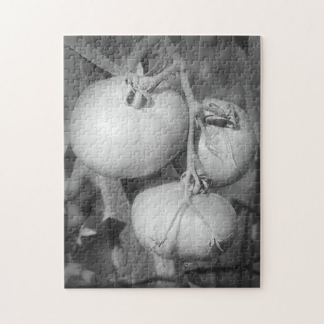 Tomatoes In Black And White Nature Jigsaw Puzzle (Vertical)