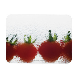 Tomatoes in water magnet