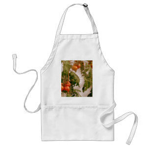 Tomatoes On Vine Standard Apron